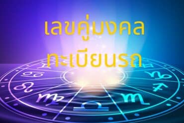 ลักษณะแมวมงคล  นำโชค 10