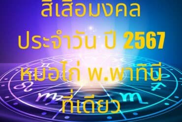 ลักษณะแมวมงคล  นำโชค 10